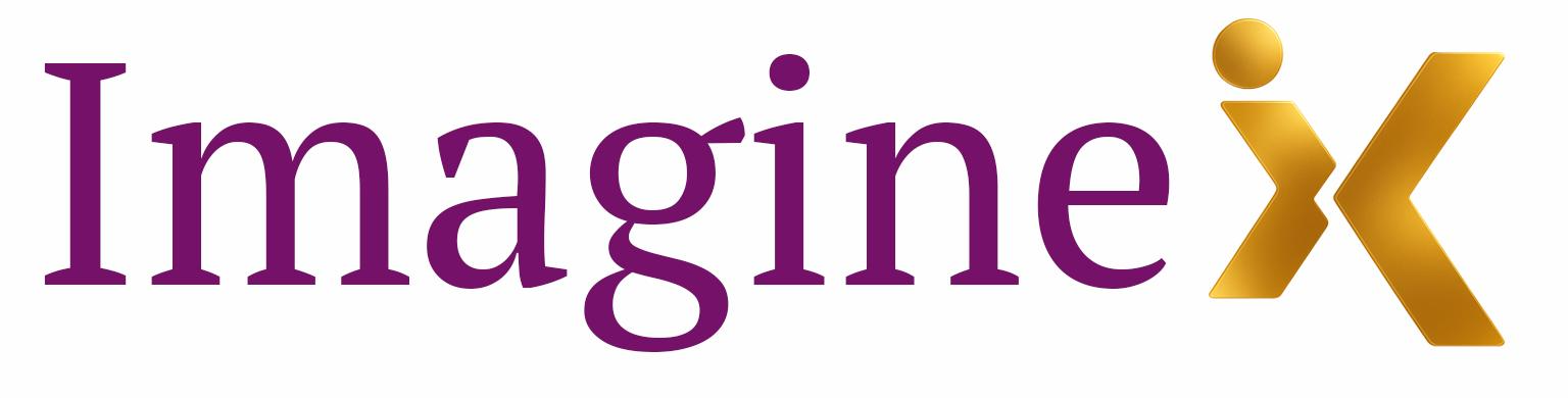 THE ImagineX Logo